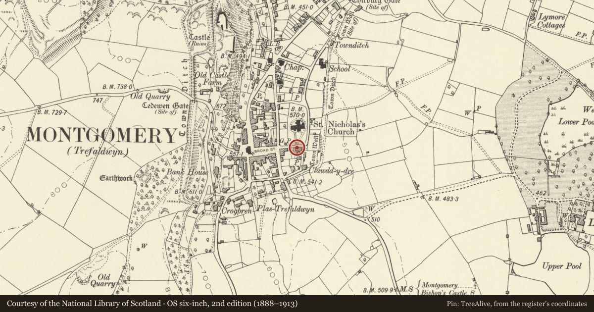 Ordnance Survey six-inch map, 2nd edition (1888–1913) covering the location of Bryneglwys, Montgomery, Powys, with a pin at the register's coordinates