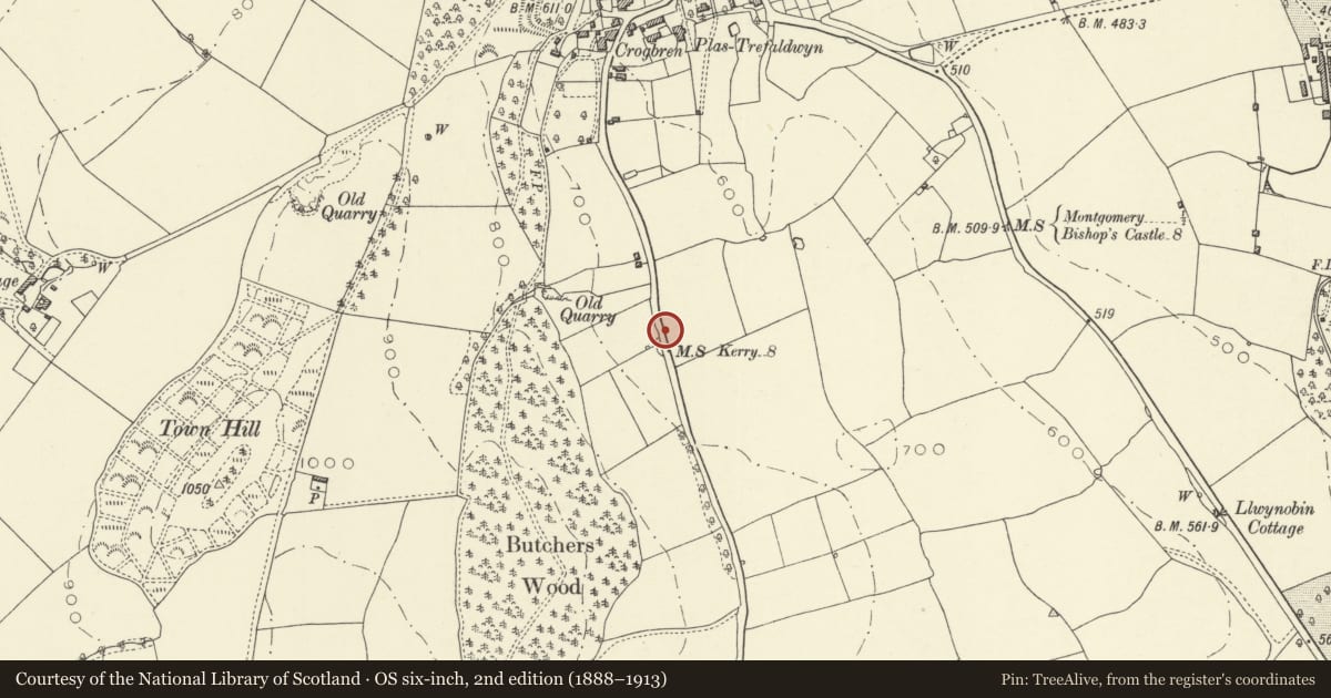Ordnance Survey six-inch map, 2nd edition (1888–1913) covering the location of Milepost by Kilganoon, Montgomery, Powys, with a pin at the register's coordinates