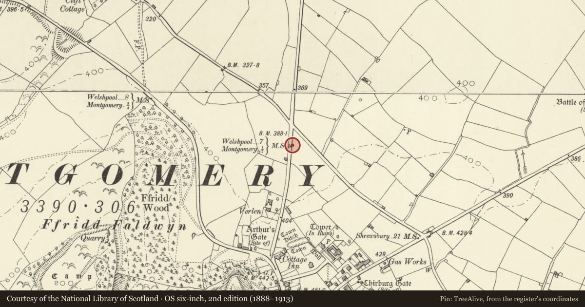 Ordnance Survey six-inch map, 2nd edition (1888–1913) covering the location of Milestone, Montgomery, Powys, with a pin at the register's coordinates