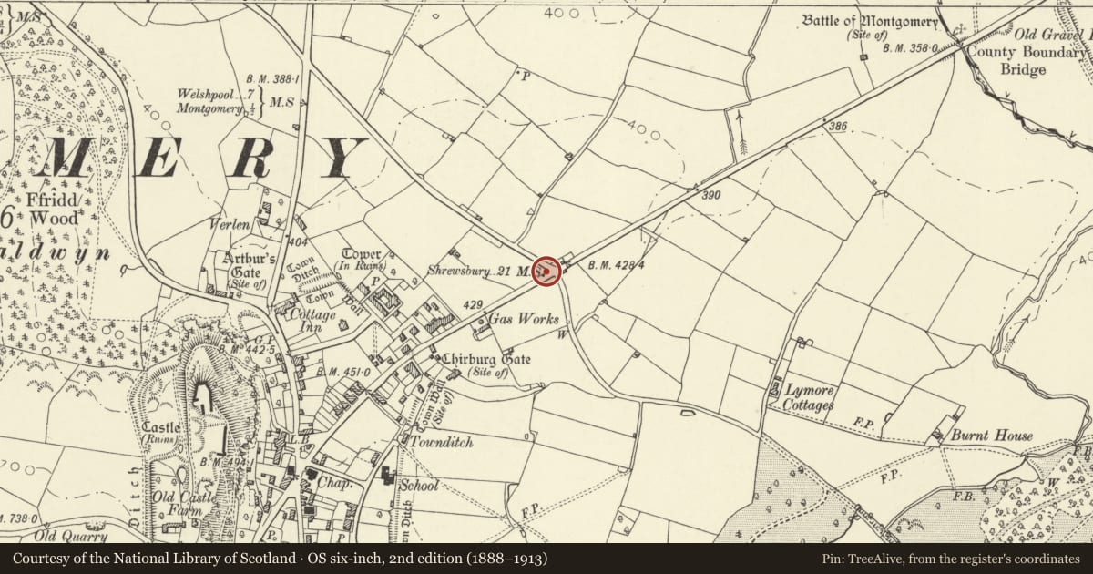 Ordnance Survey six-inch map, 2nd edition (1888–1913) covering the location of Milestone near junction with New Road, Montgomery, Powys, with a pin at the register's coordinates