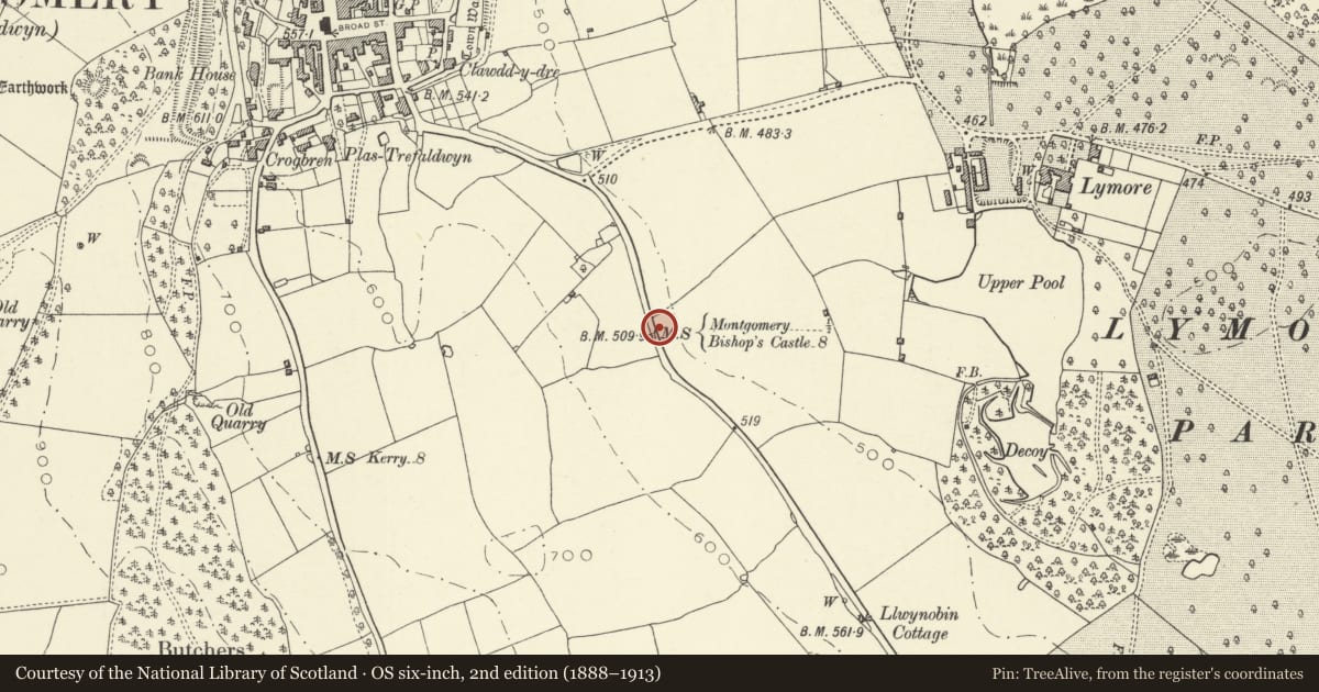 Ordnance Survey six-inch map, 2nd edition (1888–1913) covering the location of Milestone on Bishops Castle Road, Montgomery, Powys, with a pin at the register's coordinates