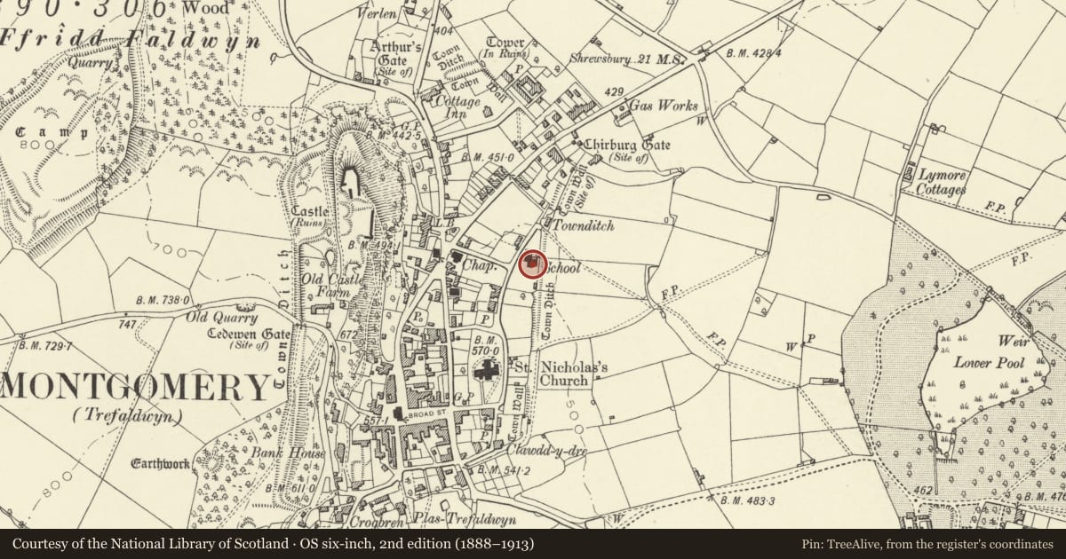 Ordnance Survey six-inch map, 2nd edition (1888–1913) covering the location of Montgomery Primary School, Powys, with a pin at the register's coordinates