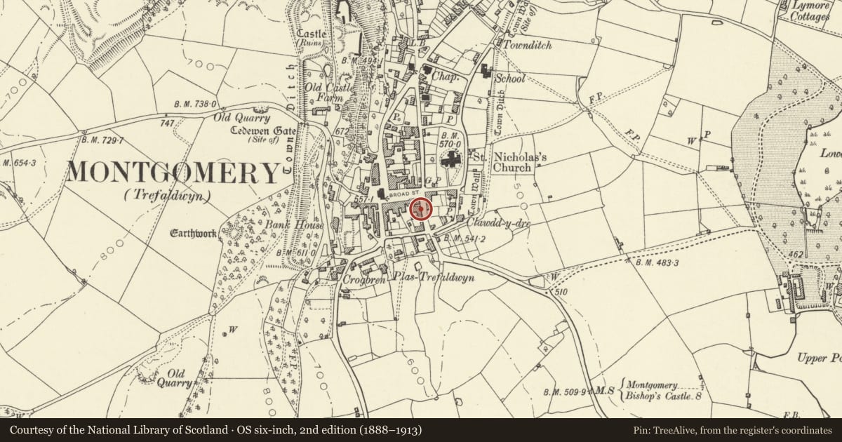 Ordnance Survey six-inch map, 2nd edition (1888–1913) covering the location of Myrtle House, Montgomery, Powys, with a pin at the register's coordinates