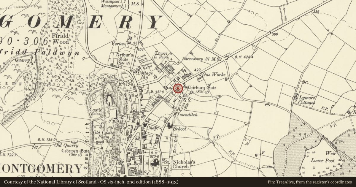 Ordnance Survey six-inch map, 2nd edition (1888–1913) covering the location of No. 1 Clive Terrace, Montgomery, Powys, with a pin at the register's coordinates