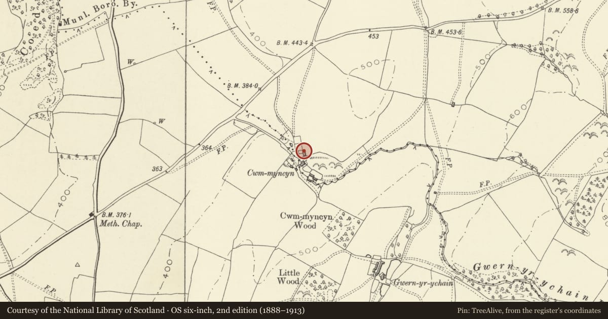 Ordnance Survey six-inch map, 2nd edition (1888–1913) covering the location of 1 Cwminkin, Montgomery, Powys, with a pin at the register's coordinates