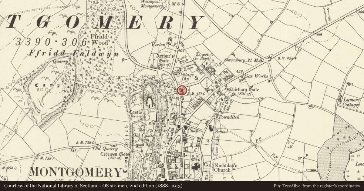 Ordnance Survey six-inch map, 2nd edition (1888–1913) covering the location of No. 2 Black Hall Cottage, Montgomery, Powys, with a pin at the register's coordinates