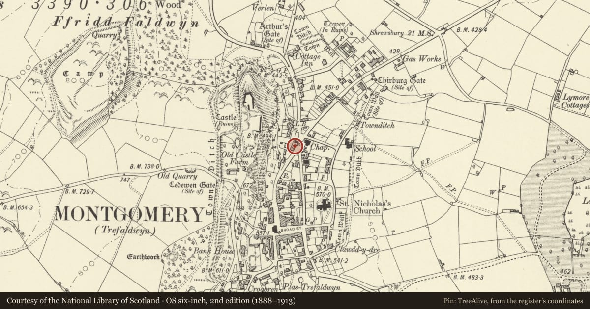 Ordnance Survey six-inch map, 2nd edition (1888–1913) covering the location of No 2 Chapel Place, Montgomery, Powys, with a pin at the register's coordinates