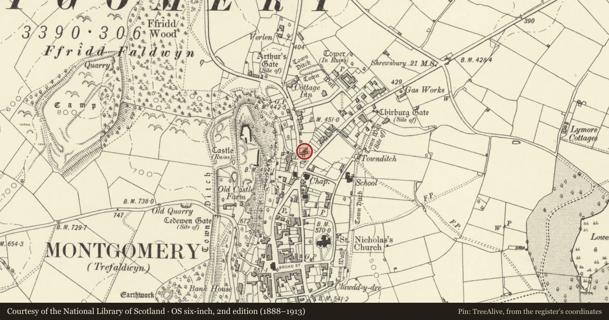 Ordnance Survey six-inch map, 2nd edition (1888–1913) covering the location of No. 2 Cross Houses, Montgomery, Powys, with a pin at the register's coordinates