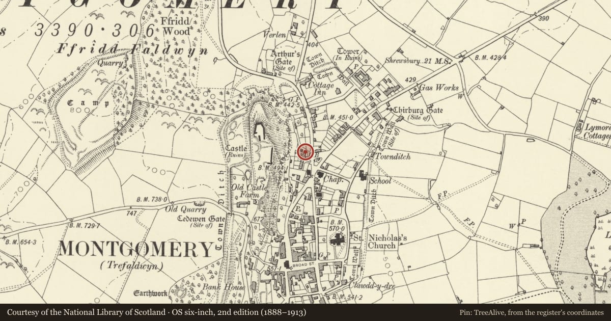 Ordnance Survey six-inch map, 2nd edition (1888–1913) covering the location of No. 2 Plough Bank, Montgomery, Powys, with a pin at the register's coordinates