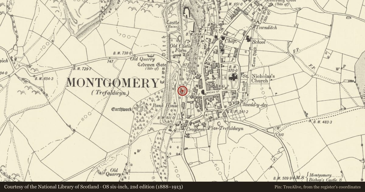 Ordnance Survey six-inch map, 2nd edition (1888–1913) covering the location of 3 Castle Terrace, Montgomery, Powys, with a pin at the register's coordinates