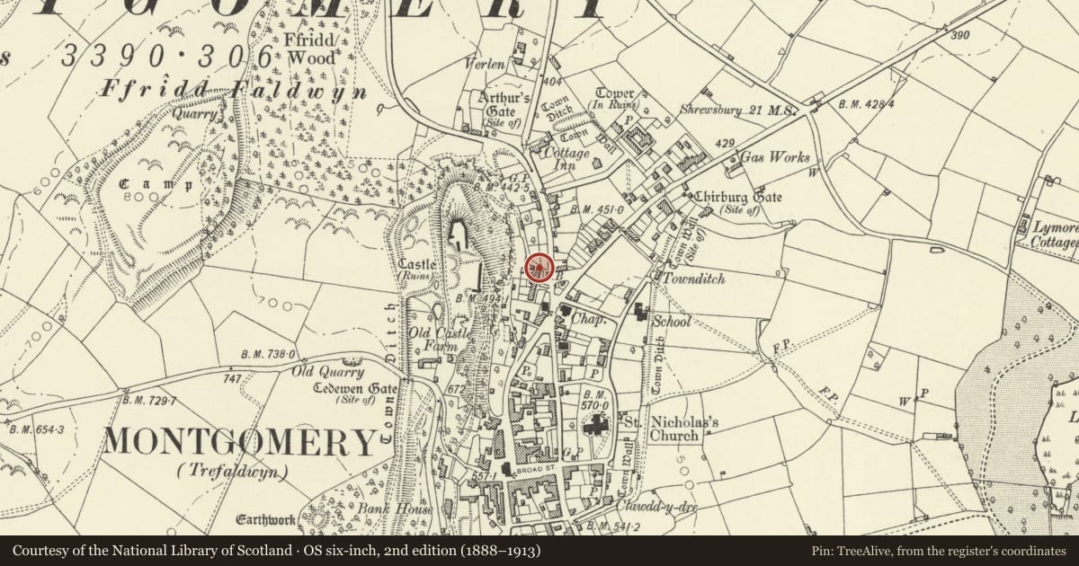 Ordnance Survey six-inch map, 2nd edition (1888–1913) covering the location of No. 3 Plough Bank, Montgomery, Powys, with a pin at the register's coordinates