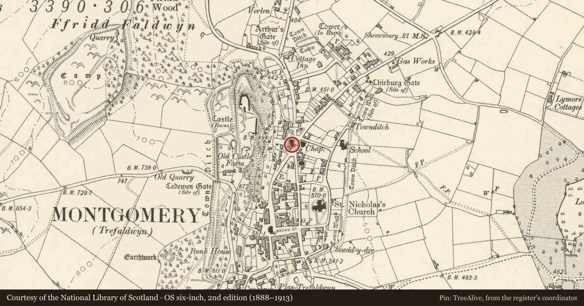 Ordnance Survey six-inch map, 2nd edition (1888–1913) covering the location of No 4 Chapel Place, Montgomery, Powys, with a pin at the register's coordinates