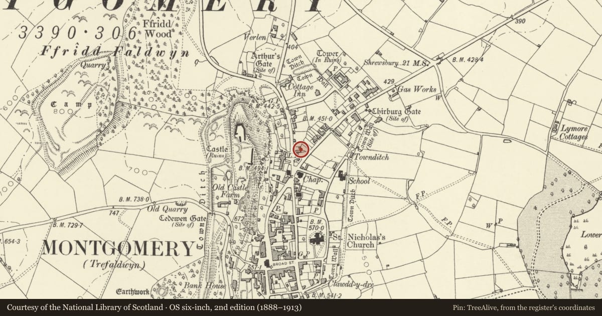 Ordnance Survey six-inch map, 2nd edition (1888–1913) covering the location of No. 4 Cross Houses, Montgomery, Powys, with a pin at the register's coordinates