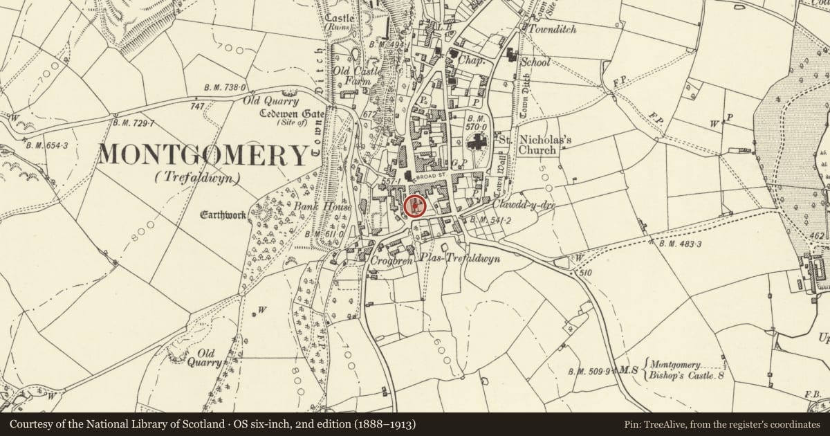 Ordnance Survey six-inch map, 2nd edition (1888–1913) covering the location of Penymynydd, Montgomery, Powys, with a pin at the register's coordinates