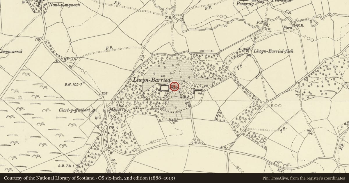Ordnance Survey six-inch map, 2nd edition (1888–1913) covering the location of Llwynbarried Hall, Nantmel, Powys, with a pin at the register's coordinates