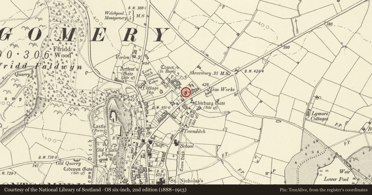 Ordnance Survey six-inch map, 2nd edition (1888–1913) covering the location of Plas Offa, Montgomery, Powys, with a pin at the register's coordinates