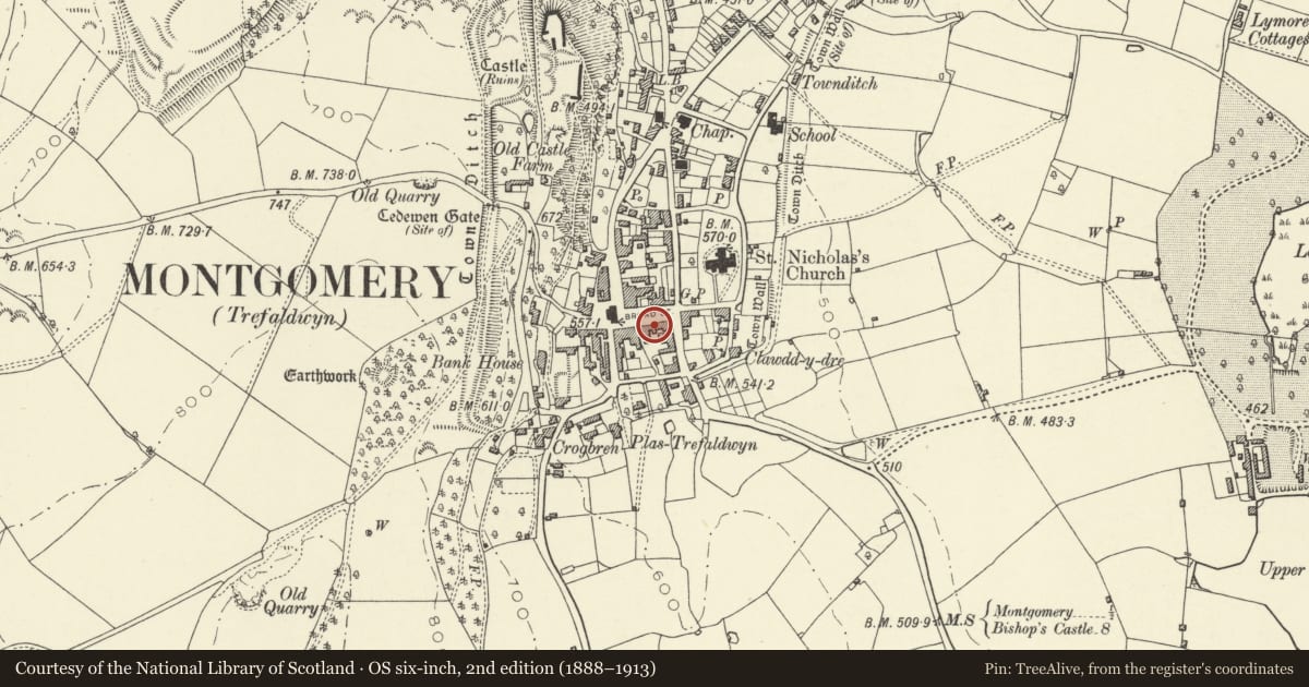 Ordnance Survey six-inch map, 2nd edition (1888–1913) covering the location of Premises occupied by Country Works, Montgomery, Powys, with a pin at the register's coordinates