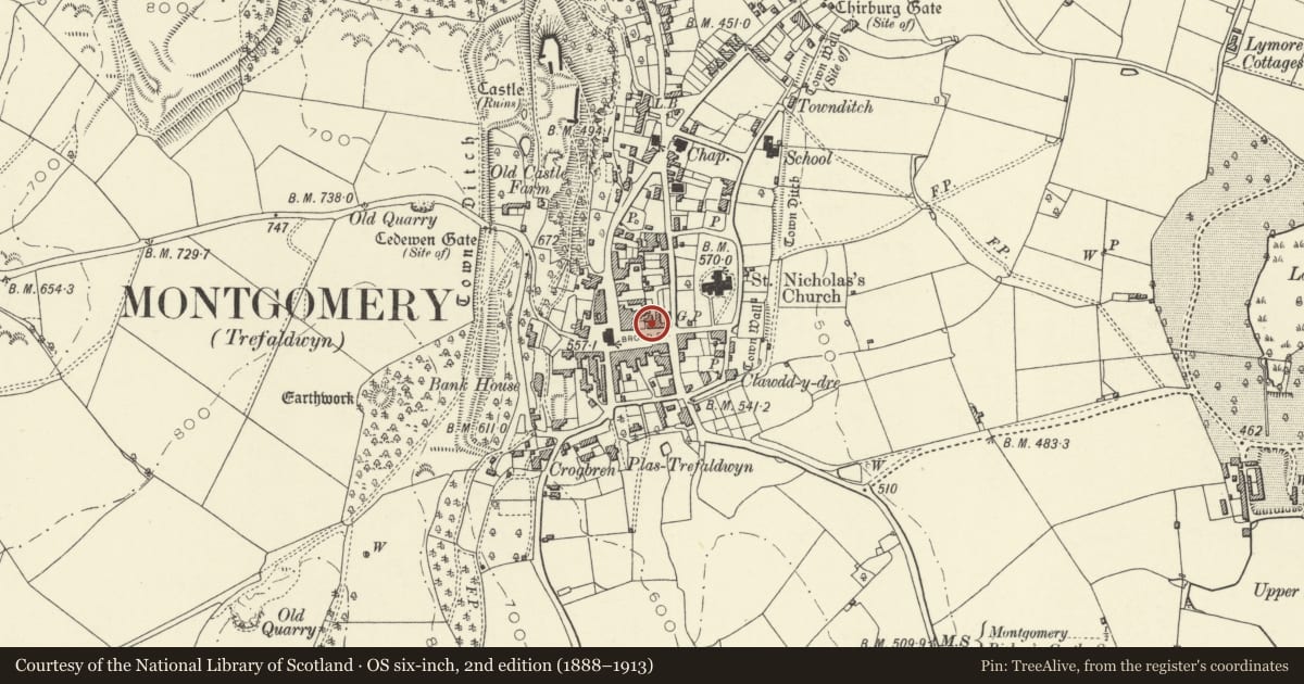 Ordnance Survey six-inch map, 2nd edition (1888–1913) covering the location of Premises occupied by Montgomery Fish Bar, Powys, with a pin at the register's coordinates