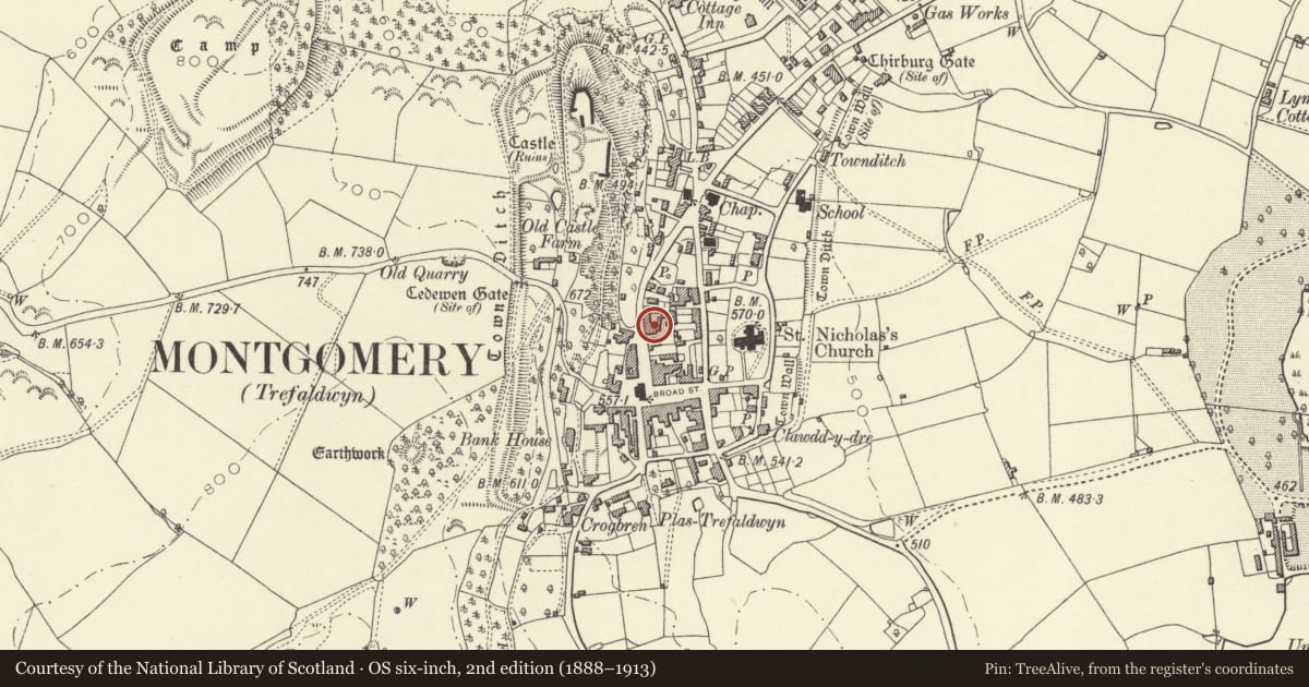 Ordnance Survey six-inch map, 2nd edition (1888–1913) covering the location of Premises occupied by R.H. Bunner, Montgomery, Powys, with a pin at the register's coordinates