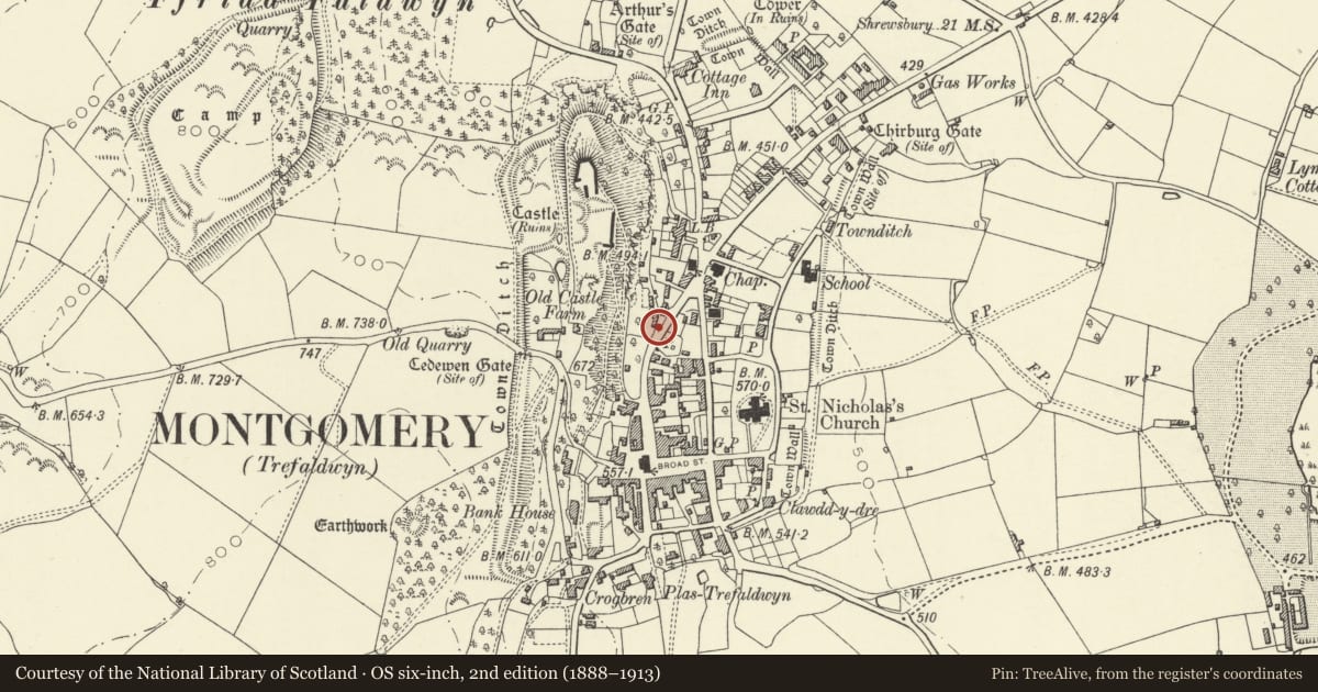 Ordnance Survey six-inch map, 2nd edition (1888–1913) covering the location of Pump to S of Steppe House, Montgomery, Powys, with a pin at the register's coordinates