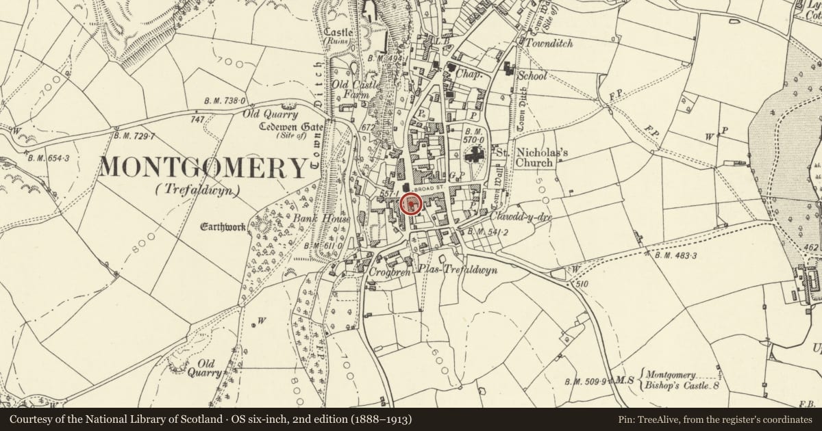 Ordnance Survey six-inch map, 2nd edition (1888–1913) covering the location of The Armoury, Montgomery, Powys, with a pin at the register's coordinates
