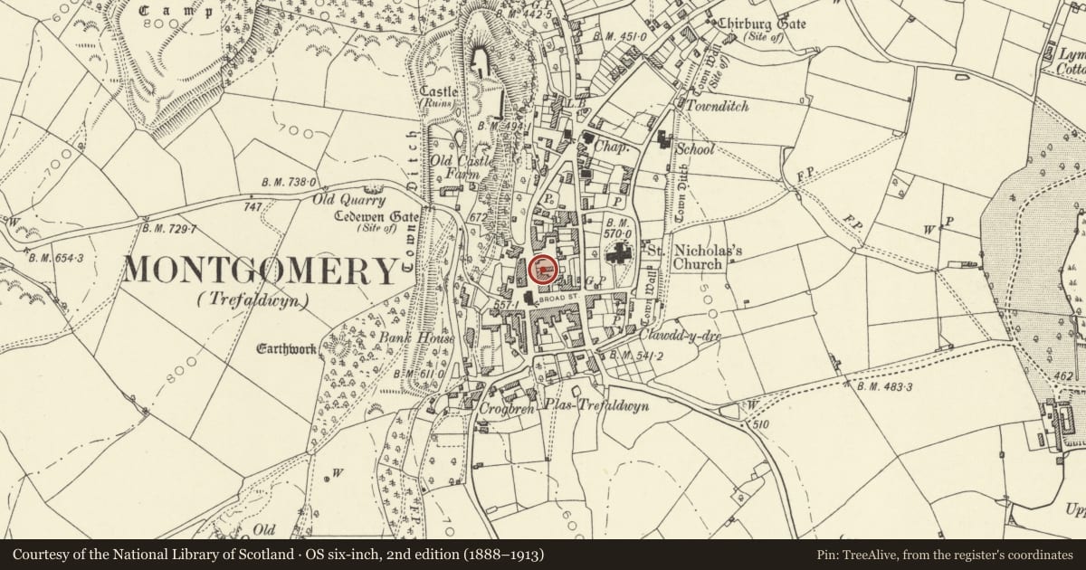 Ordnance Survey six-inch map, 2nd edition (1888–1913) covering the location of The Institute, Montgomery, Powys, with a pin at the register's coordinates