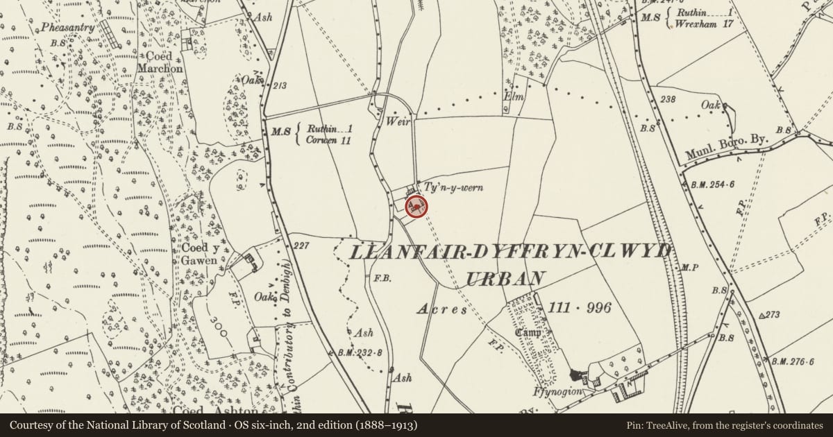 Ordnance Survey six-inch map, 2nd edition (1888–1913) covering the location of Animal House, S side of farmyard, Ty'n y Wern, Ruthin, Denbighshire, with a pin at the register's coordinates