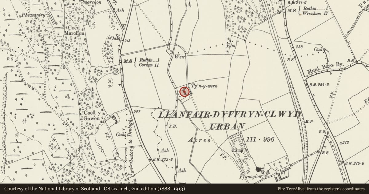 Ordnance Survey six-inch map, 2nd edition (1888–1913) covering the location of Multi-purpose farm building, W side of farmyard, Ty'n y Wern, Ruthin, Denbighshire, with a pin at the register's coordinates