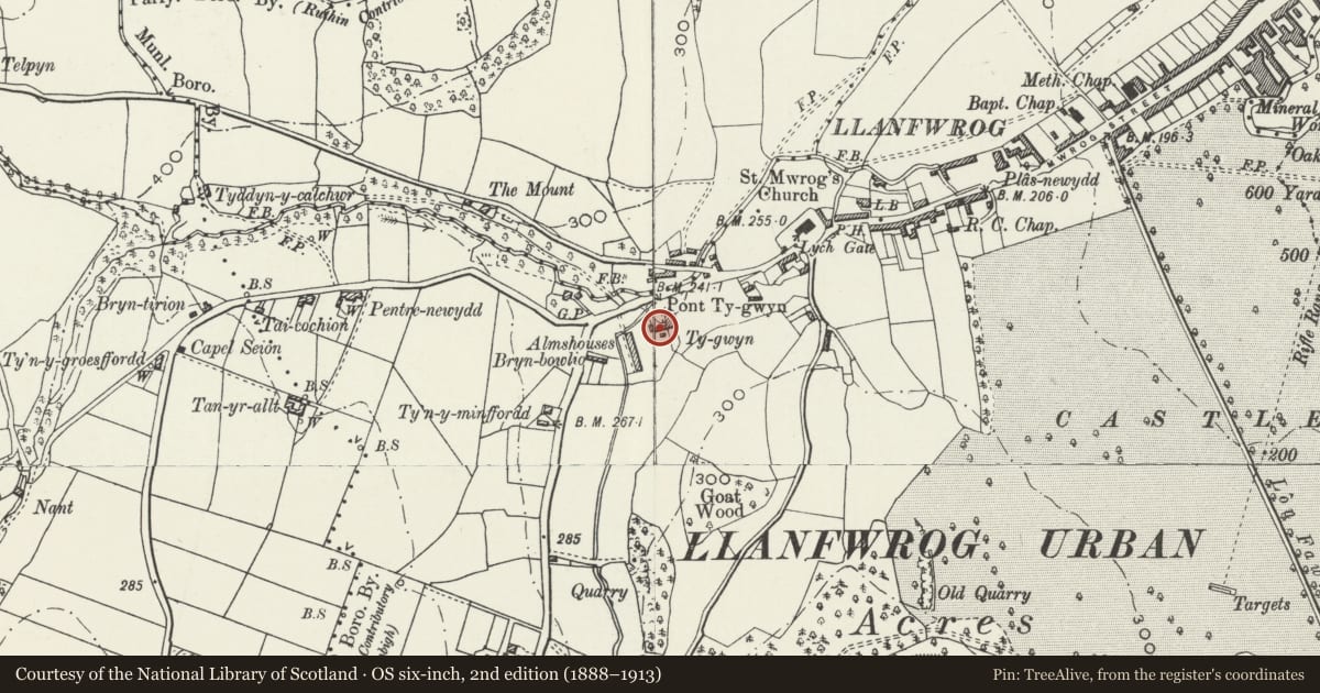 Ordnance Survey six-inch map, 2nd edition (1888–1913) covering the location of Outbuilding at Ty Gwyn, Ruthin, Denbighshire, with a pin at the register's coordinates
