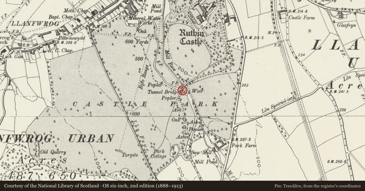Ordnance Survey six-inch map, 2nd edition (1888–1913) covering the location of Tunnel Bridge, Ruthin, Denbighshire, with a pin at the register's coordinates