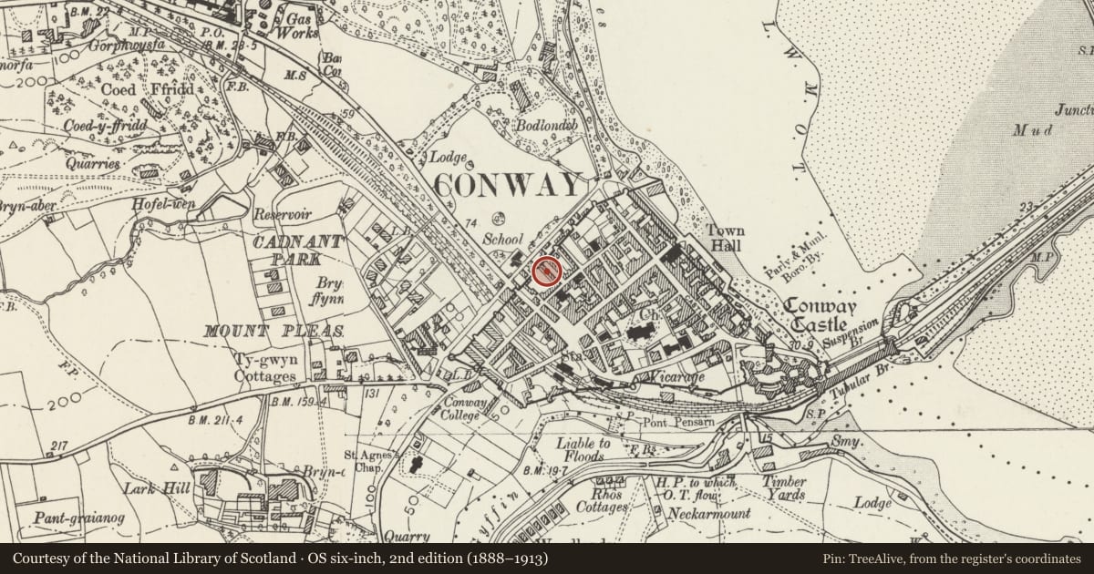 Ordnance Survey six-inch map, 2nd edition (1888–1913) covering the location of 11 Erskine Terrace, Conwy, with a pin at the register's coordinates