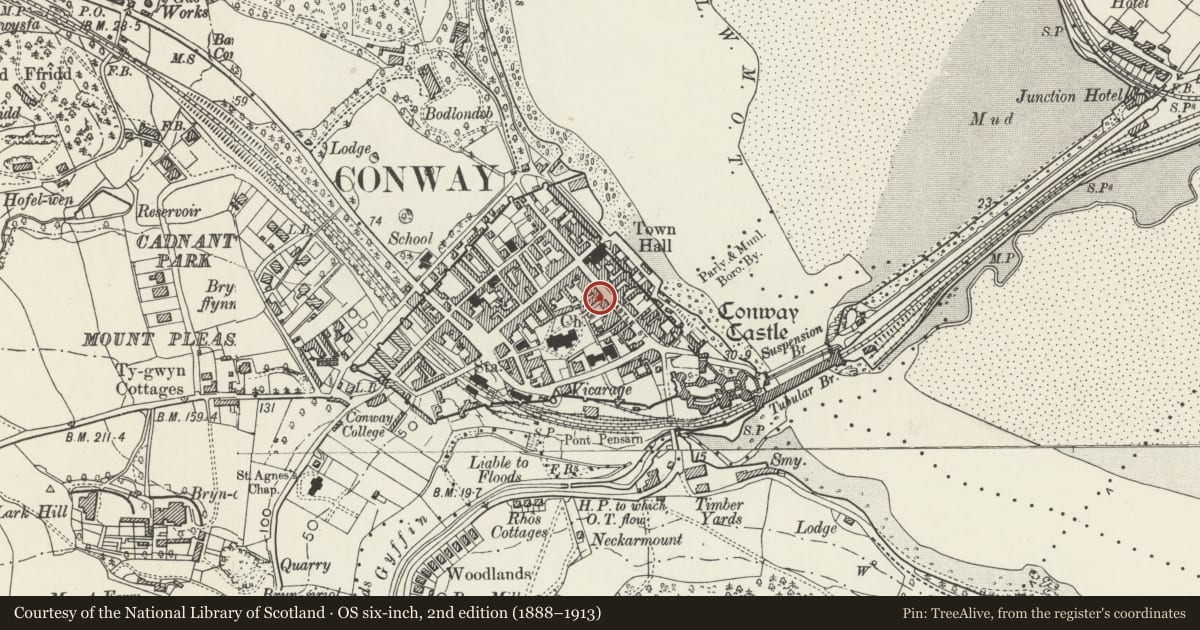 Ordnance Survey six-inch map, 2nd edition (1888–1913) covering the location of House and Rowlands Pharmacy, Conwy, with a pin at the register's coordinates