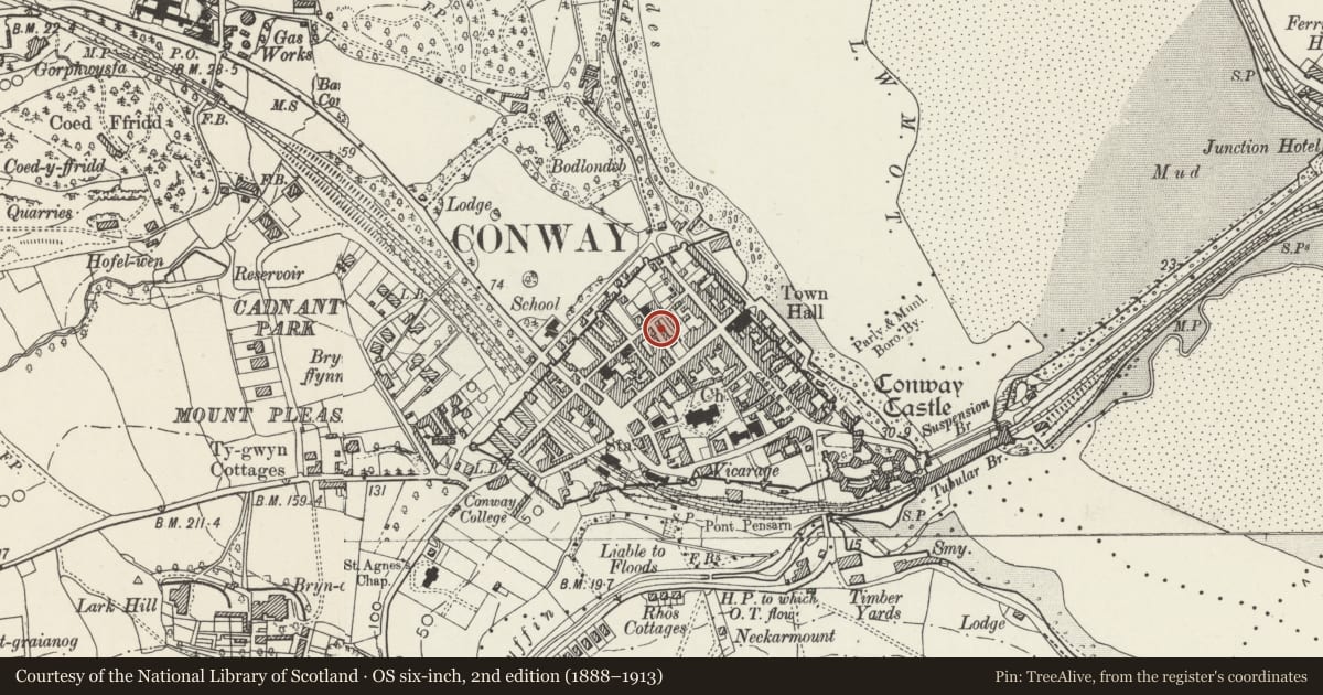 Ordnance Survey six-inch map, 2nd edition (1888–1913) covering the location of 12 Llewelyn Street, Conwy, with a pin at the register's coordinates