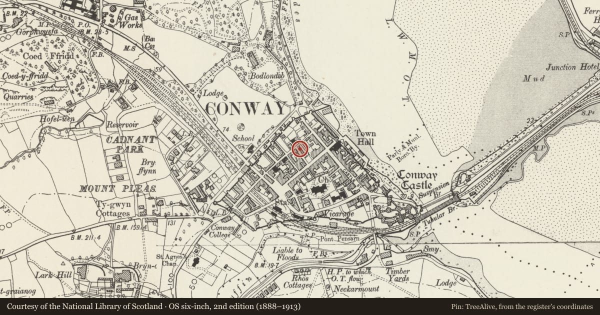Ordnance Survey six-inch map, 2nd edition (1888–1913) covering the location of 14 Llewelyn Street, Conwy, with a pin at the register's coordinates