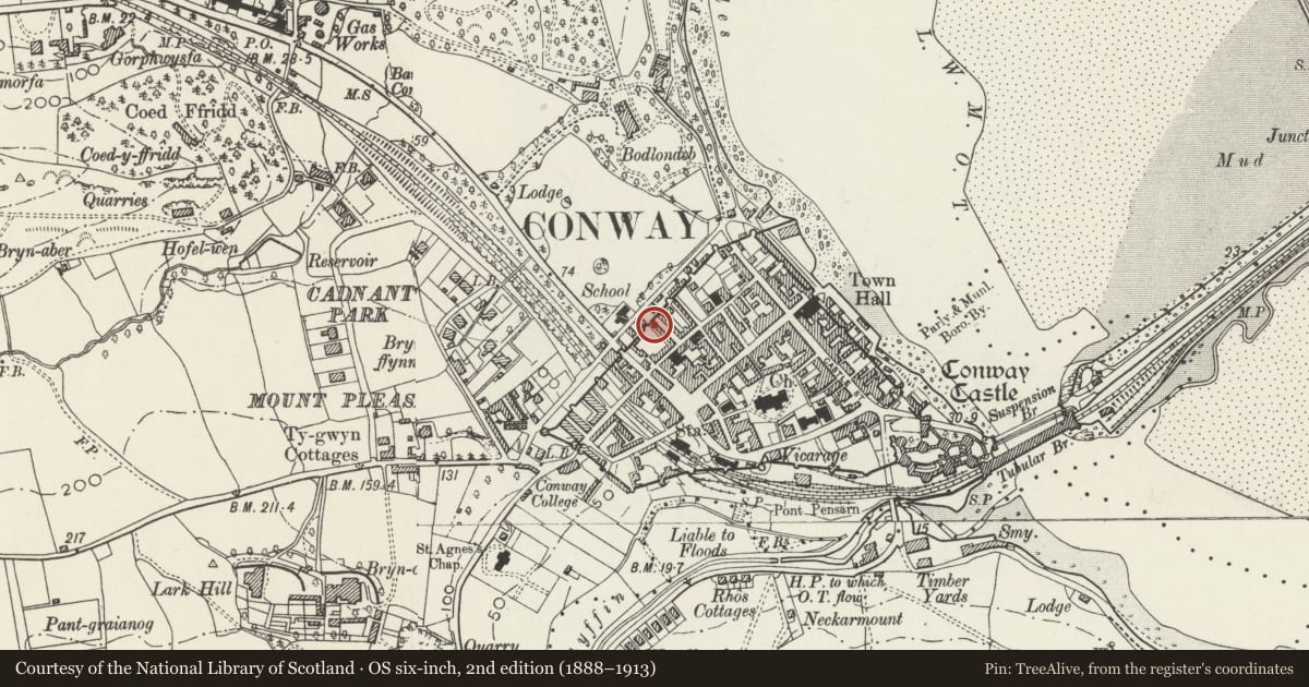 Ordnance Survey six-inch map, 2nd edition (1888–1913) covering the location of 15 Erskine Terrace, Conwy, with a pin at the register's coordinates