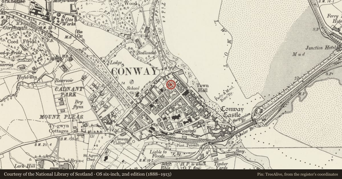 Ordnance Survey six-inch map, 2nd edition (1888–1913) covering the location of 17 Berry Street, Conwy, with a pin at the register's coordinates