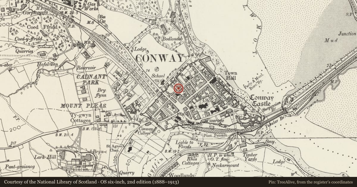 Ordnance Survey six-inch map, 2nd edition (1888–1913) covering the location of 22 Chapel Street, Conwy, with a pin at the register's coordinates