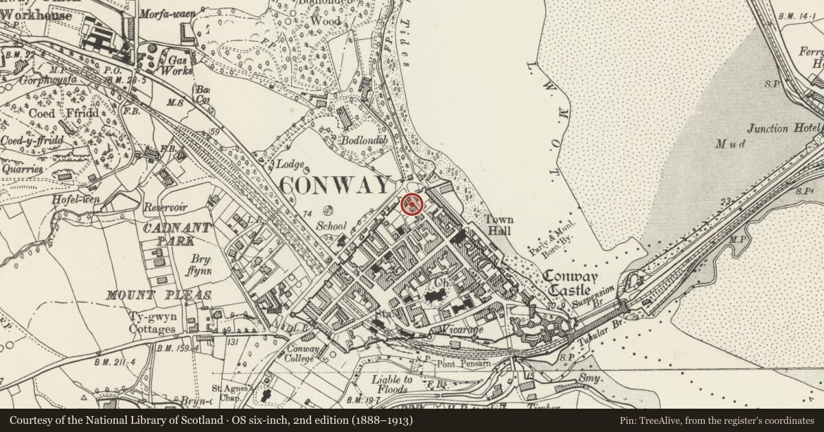Ordnance Survey six-inch map, 2nd edition (1888–1913) covering the location of 29 Berry Street, Conwy, with a pin at the register's coordinates