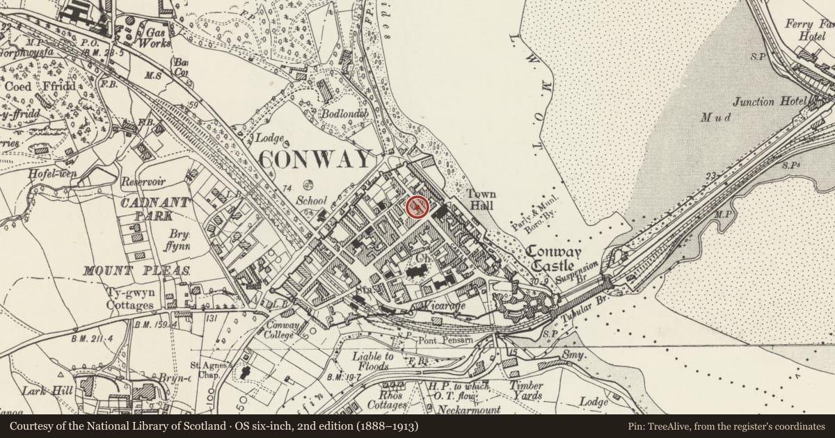 Ordnance Survey six-inch map, 2nd edition (1888–1913) covering the location of Castle View, Conwy, with a pin at the register's coordinates