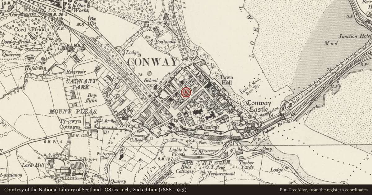 Ordnance Survey six-inch map, 2nd edition (1888–1913) covering the location of 3 Llewelyn Street, Conwy, with a pin at the register's coordinates