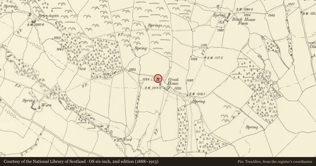 Ordnance Survey six-inch map, 2nd edition (1888–1913) covering the location of The Great House, Painscastle, Powys, with a pin at the register's coordinates