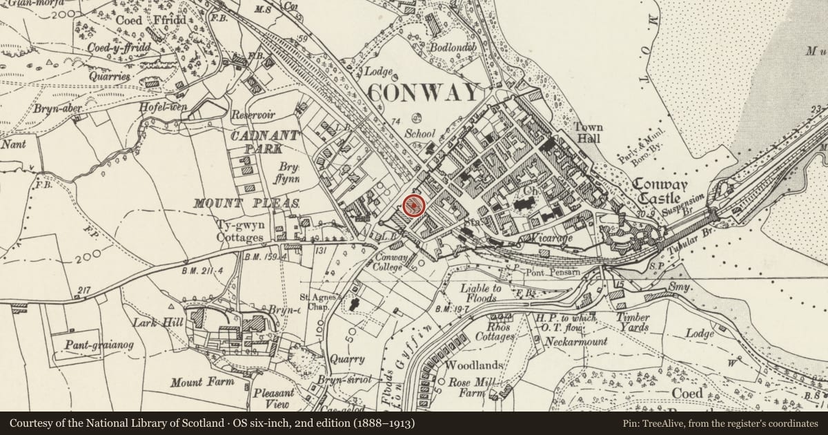 Ordnance Survey six-inch map, 2nd edition (1888–1913) covering the location of 3 Newboro Terrace, Conwy, with a pin at the register's coordinates
