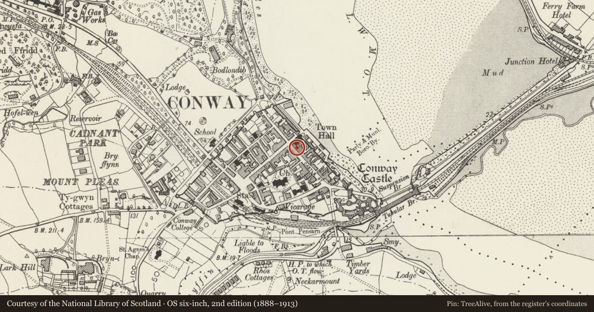 Ordnance Survey six-inch map, 2nd edition (1888–1913) covering the location of Eagles Building (Fishermans Chip Shop and Carolina's Ice Cream), Conwy, with a pin at the register's coordinates