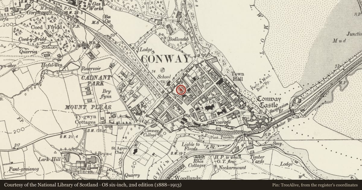 Ordnance Survey six-inch map, 2nd edition (1888–1913) covering the location of 5 Erskine Terrace, Conwy, with a pin at the register's coordinates