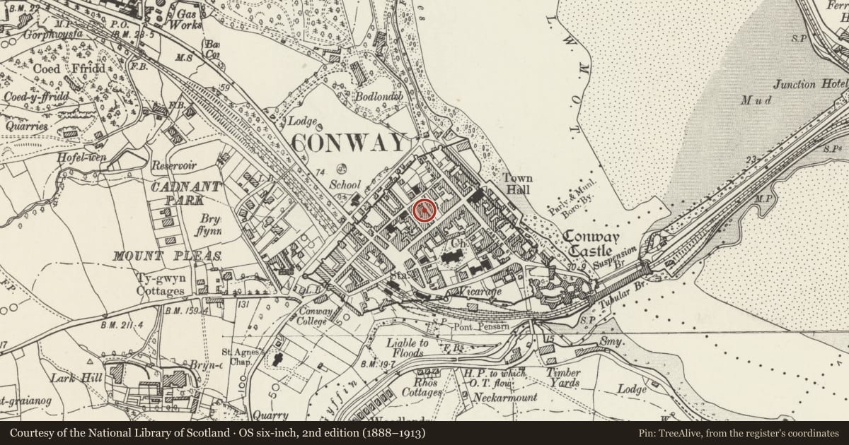 Ordnance Survey six-inch map, 2nd edition (1888–1913) covering the location of 5 Llewelyn Street, Conwy, with a pin at the register's coordinates