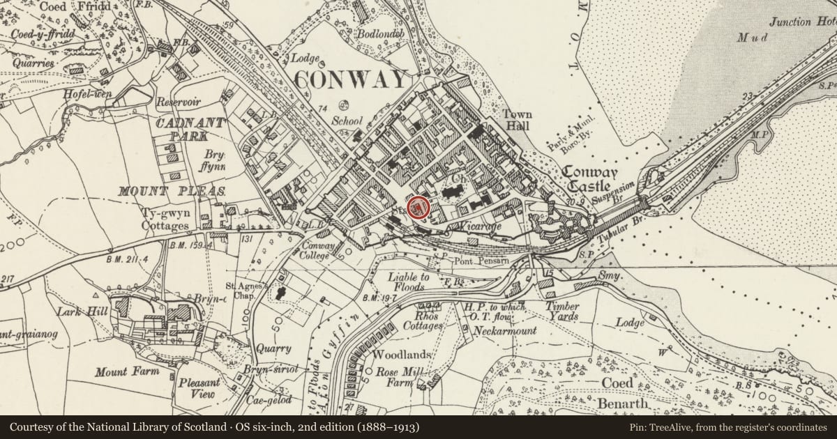 Ordnance Survey six-inch map, 2nd edition (1888–1913) covering the location of 6 Church Street, Conwy, with a pin at the register's coordinates