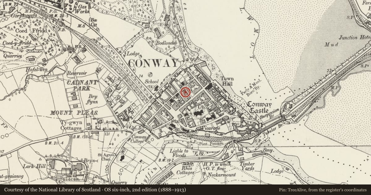 Ordnance Survey six-inch map, 2nd edition (1888–1913) covering the location of 7 Llewelyn Street, Conwy, with a pin at the register's coordinates