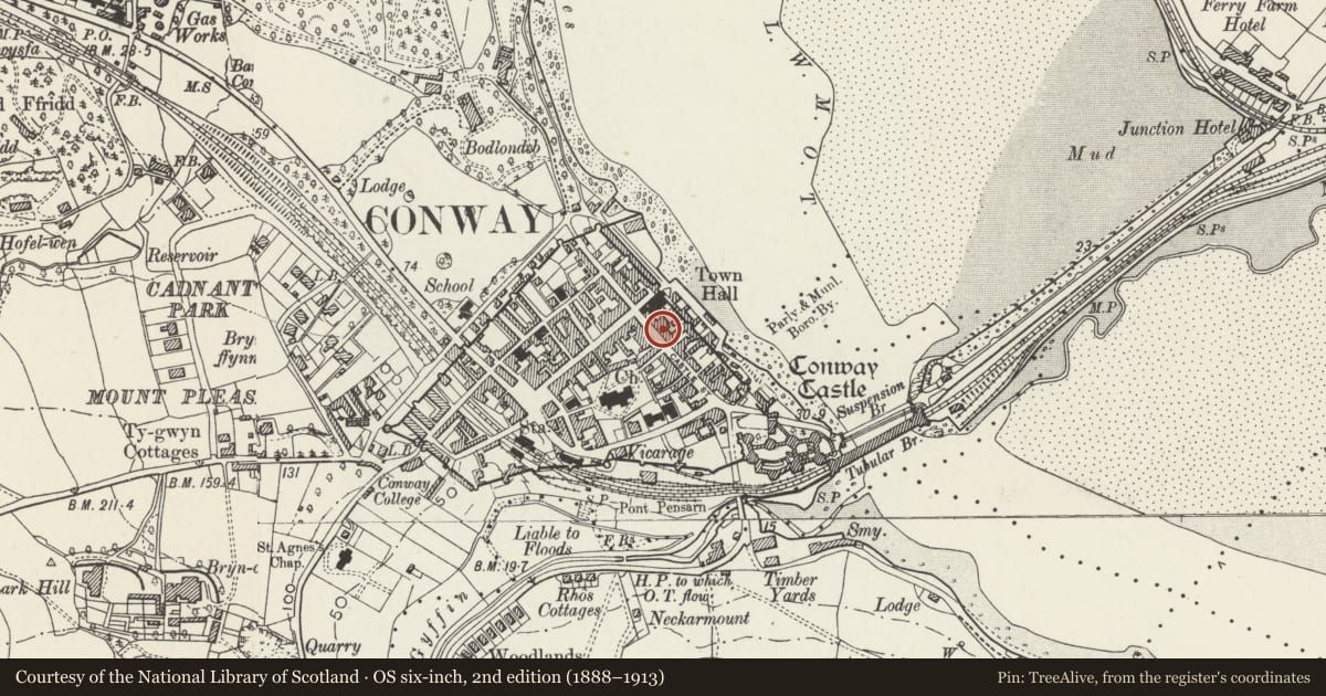 Ordnance Survey six-inch map, 2nd edition (1888–1913) covering the location of Conwy Outdoor shop and Anna's Tea Rooms, with a pin at the register's coordinates