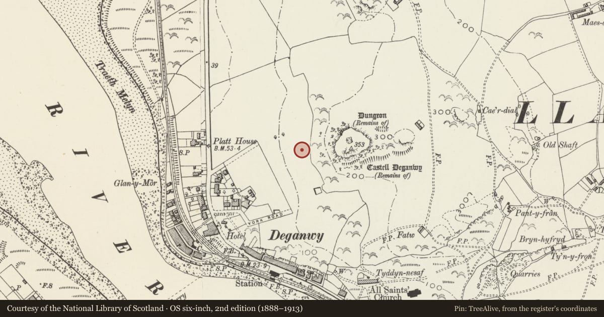 Ordnance Survey six-inch map, 2nd edition (1888–1913) covering the location of Brackenrigg, Conwy, with a pin at the register's coordinates