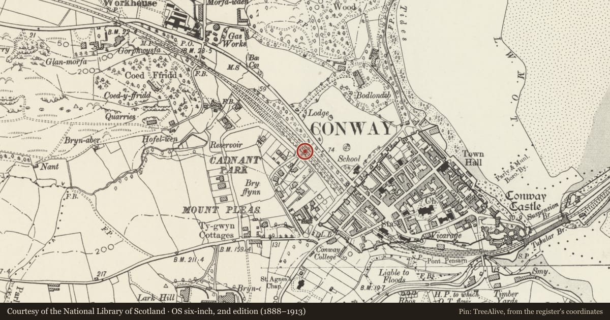 Ordnance Survey six-inch map, 2nd edition (1888–1913) covering the location of Cadnant Bridge, Conwy, with a pin at the register's coordinates